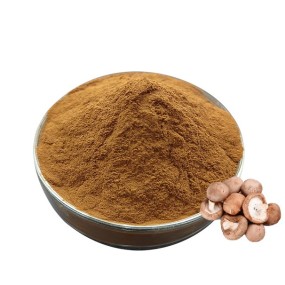Shiitake Mushroom Extract Manufacturer - 30% Beta Glucan