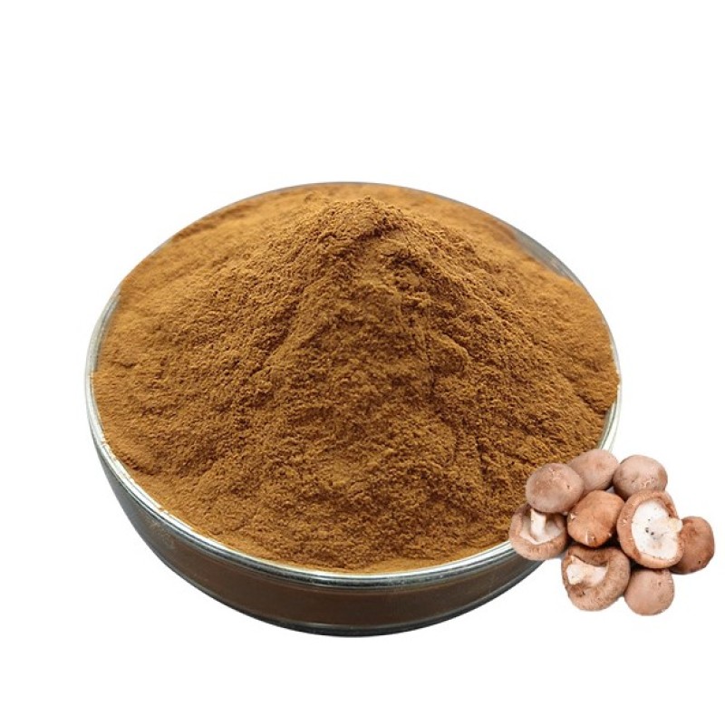 Shiitake Mushroom Extract Manufacturer - 30% Beta Glucan
