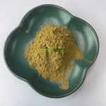 Holy Basil Extract Factory - Thai Tulsi Stress Support