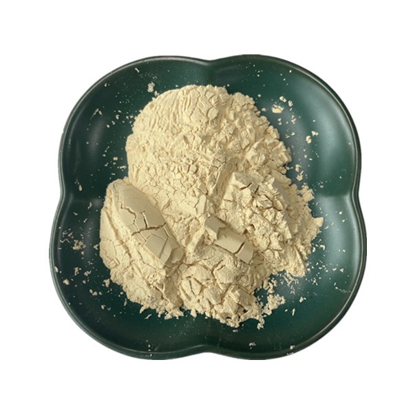 Hydrolyzed Soy Protein Supplier - Water Soluble Powder