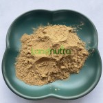 石榴皮提取物供应商-40%鞣花酸