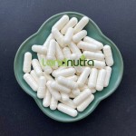 Bilberry Extract Factory - 25% Anthocyanin Powder