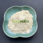 5-HTP Supplement Supplier - Griffonia Simplicifolia Extract