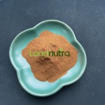 Valerian Root Extract Factory - Sleep Herbal Supplement