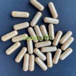 圣约翰草提取物供应商-0.7%金丝桃素