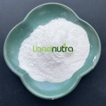 Apple Cider Vinegar Powder Manufacturer - Natural Organic