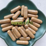 Fisetin Liposomal Powder Supplier - 98% Strawberry Extract