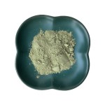 Avocado Extract Powder Factory - Soluble Fruit Powder