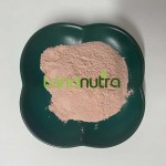 Acerola Cherry Extract Supplier - 17% 25% Vitamin C