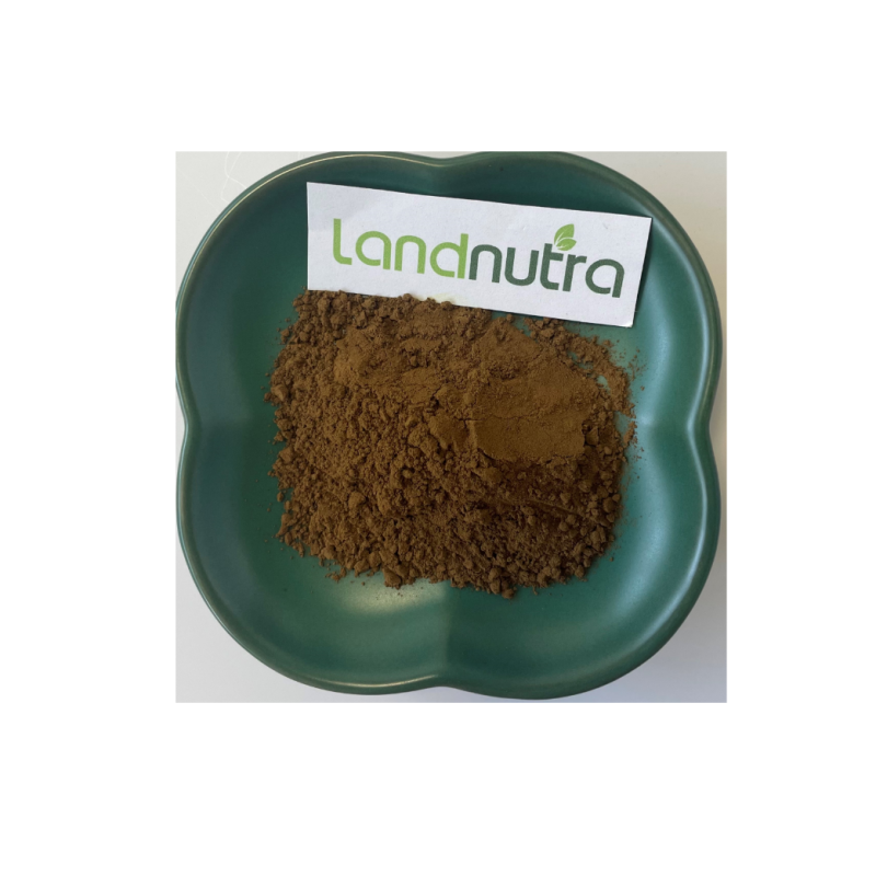 Bacopa Extract Manufacturer - Brahmi Herb Powder