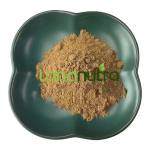 Kanna Extract Powder Manufacturer - Pure Natural