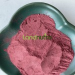 甜菜根提取物粉末工厂-有机红甜菜