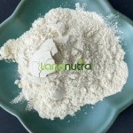 Alpha Glucooligosaccharide Powder Supplier - Prebiotic