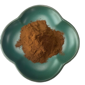 Lion's Mane Extract Manufacturer - Cognitive Function