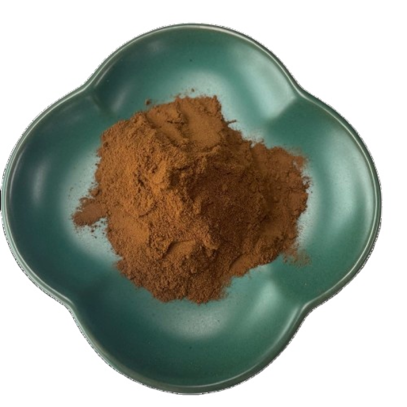 Lion's Mane Extract Manufacturer - Cognitive Function