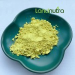 槐花提取物供应商-95%槲皮素粉末