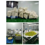 5-HTP Powder Supplier - Griffonia Simplicifolia Bulk