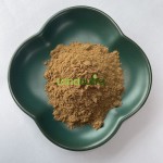 Houttuynia Cordata Extract Supplier - 10:1 Herb Powder