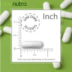 Scutellaria Extract Manufacturer - Baicalin Herb Powder