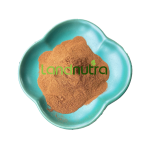 平菇提取物工厂-有机健康支持
