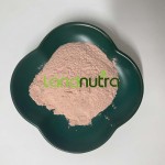 Acerola Cherry Extract Supplier - 17% 25% Vitamin C