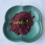 PQQ Powder Supplier - Factory Price High Quality