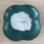 Kojic Acid Dipalmitate Factory - 99% Skin Care Ingredient