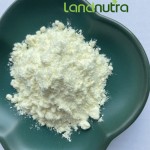 西兰花种子提取物供应商-1%萝卜硫素粉末