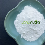 Konjac Powder Factory - 100% Vegetable Bulk Sales