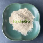 Garlic Extract Powder Supplier - CAS 539-86-6 Dehydrated