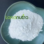 Sorbitol Powder Manufacturer - Food Grade Sweetener Bulk
