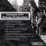 Total-T Supplement - Manufacturer OEM Coenzyme Booster Men 90ct Wellness Support