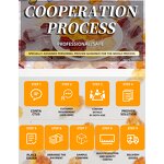 Women's Probiotics - Manufacturer Inositol Chiro Hormonal Balance Prebiotics