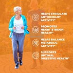 Cinnamon Supplement - Manufacturer OEM Pure Capsules Powder Heart Metabolism Herbal