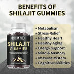Shilajit Gummies - Manufacturer Custom 5 in 1 Chaga Ashwagandha Vitamins