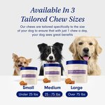 Dog Probiotics - Manufacturer OEM ODM Immune Digestive Health Immunity Support