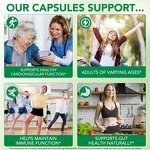 Garlic Extract Capsules - Manufacturer Private Label 300Softgels Gluten-Free Immune