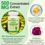 Rhodiola Rosea Capsules - Manufacturer Private Label Non-GMO Organic Focus Stress