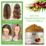 Batana Oil - Manufacturer 150g Organic Anti Hair Loss Honduras Scalp Nourish
