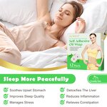 Castor Oil Pack - Manufacturer Ultra-Absorbent Self-Adhesive Liver Detox Waist