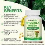 Rhodiola Rosea Capsules - Manufacturer Private Label Non-GMO Organic Focus Stress