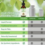 Burdock Root Drops - Manufacturer 60ml Vegan Natural Digestive Support Men & Women