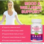 Rhodiola Rosea Capsules - Manufacturer Gluten-Free Non-GMO Organic Immune Vitality