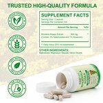 Rhodiola Rosea Capsules - Manufacturer Private Label Non-GMO Organic Focus Stress