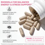 Rhodiola Rosea Capsules - Manufacturer Gluten-Free Non-GMO Organic Immune Vitality