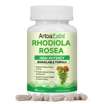 Rhodiola Rosea Capsules - Manufacturer Private Label Non-GMO Organic Focus Stress