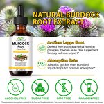 Burdock Root Drops - Manufacturer Private Label 60ml Non-GMO Digestive Wellness