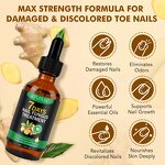 Nail Repair Oil - Manufacturer Private Label 60ml Ginger 7 Days Fungal Growth