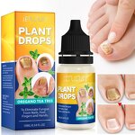 Nail Fungus Drops - Manufacturer 10ML Oregano Tea Tree Finger Toenail Repair