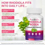 Rhodiola Rosea Capsules - Manufacturer Gluten-Free Non-GMO Organic Immune Vitality
